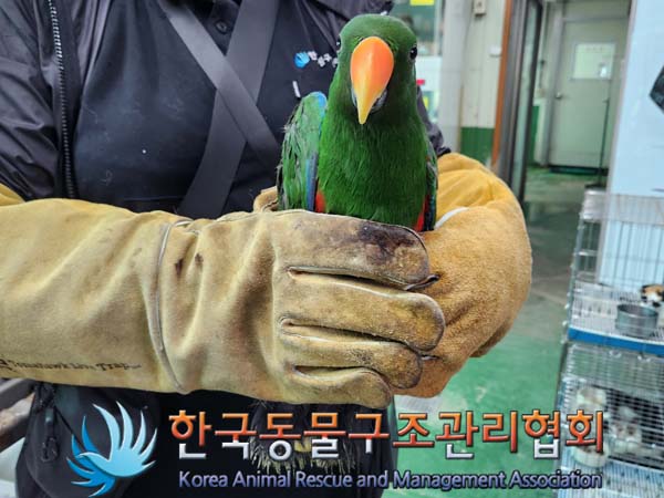 종료(반환) 앵무새…